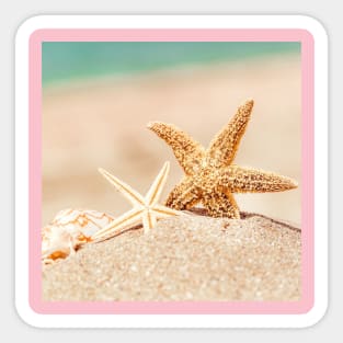 Starfish and seashell Sticker